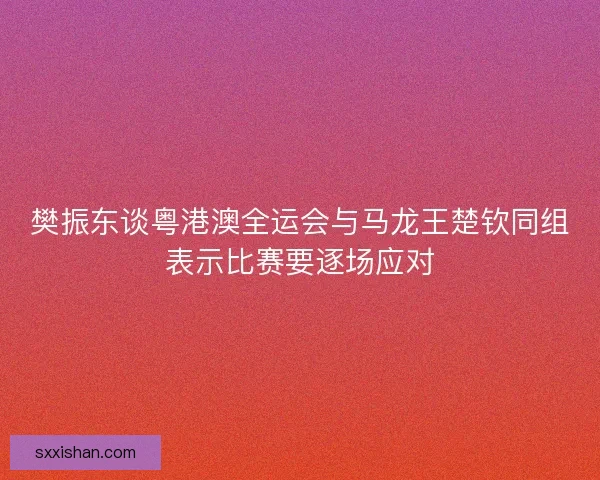 樊振东谈粤港澳全运会与马龙王楚钦同组表示比赛要逐场应对