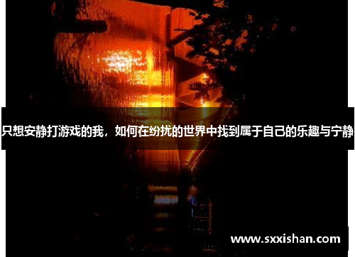 只想安静打游戏的我，如何在纷扰的世界中找到属于自己的乐趣与宁静
